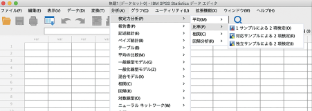 統計ソフト IBM SPSS 27