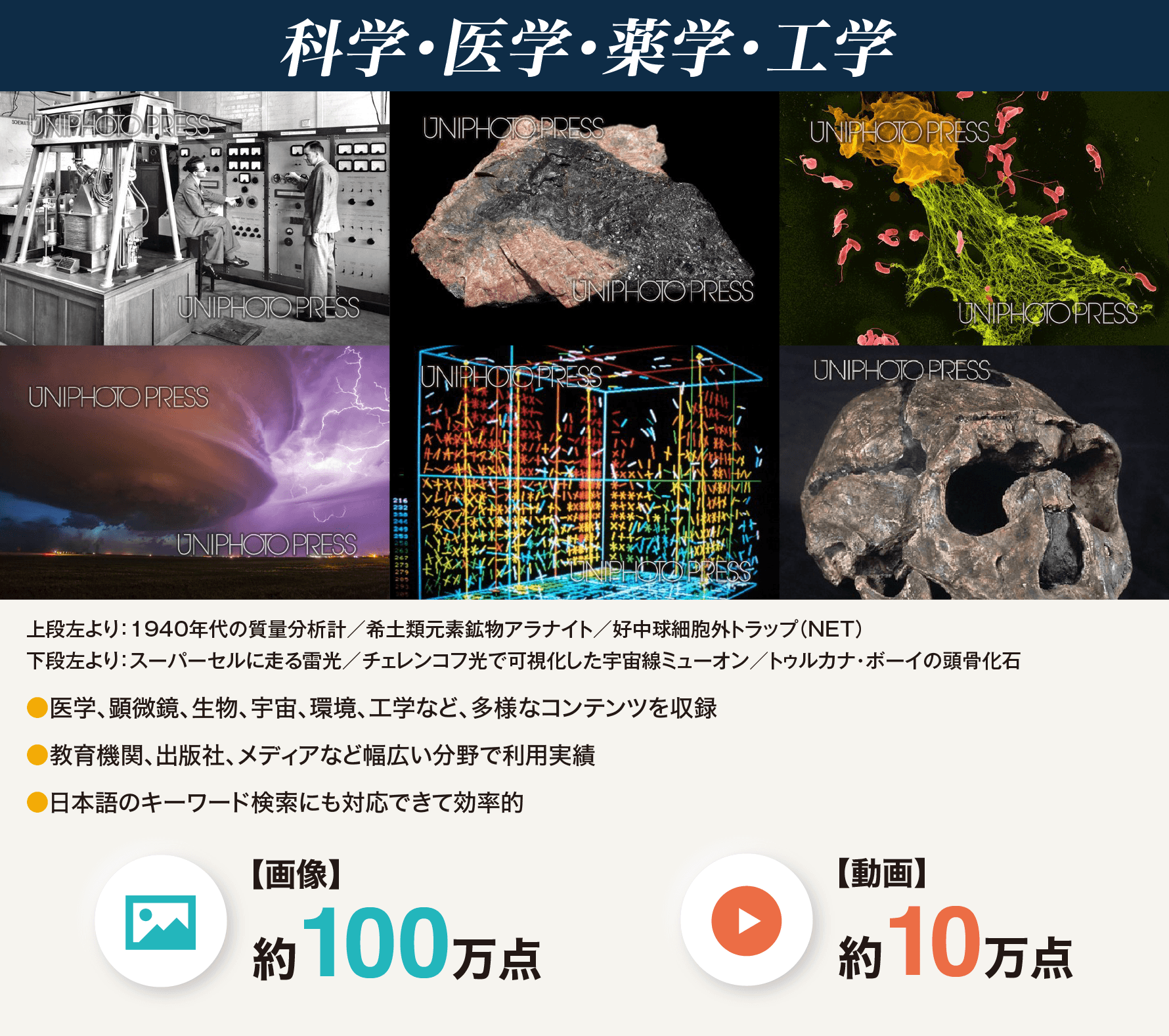 科学・医学・薬学・工学
          ●医学、顕微鏡、生物、宇宙、環境、工学など、多様なコンテンツを収録
          ●教育機関、出版社、メディアなど幅広い分野で利用実績
          ●日本語のキーワード検索にも対応できて効率的
          【画像】約100万点
          【動画】約10万点