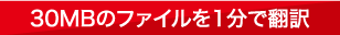 30MBのファイルを1分で翻訳