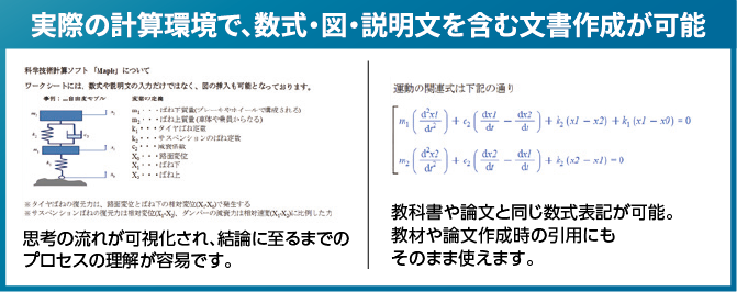 実際の計算環境で、数式・図・説明文を含む文書作成が可能