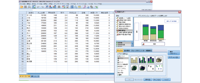 日本IBM SPSS 31