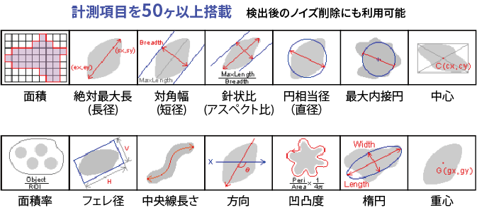 計測項目を50ヶ以上搭載