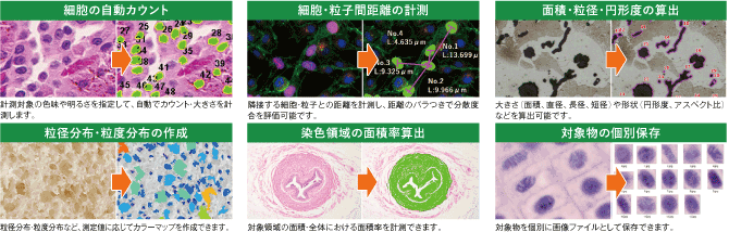 計測項目を50ヶ以上搭載