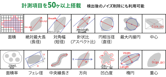 細胞の自動カウントなど解析の画像