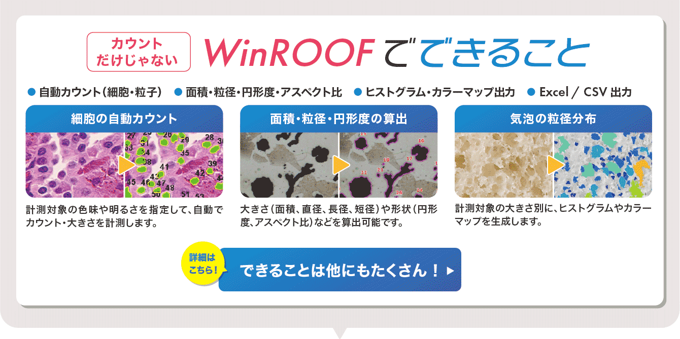 WinROOF でできること